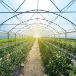 thermokipio 604150469