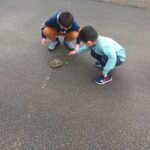 789e37d3 f32c 48e5 9bd2 4bfc45de3027