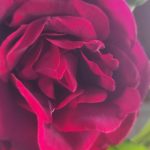 ad11f140 1a36 4a0d 9772 a41f25feb42d