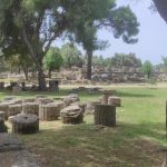 51786cf9 61f7 43b8 ad72 ff63bda0f5a8