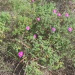 f1f61cb6 64f3 4f7d b1b4 1e38755a2538