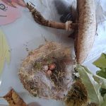 375f8912 d2cb 4f91 9753 1d2d0a9e6bc7