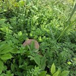 4e1fa1e2 dcbd 4c0b 98a5 9b570236cc14