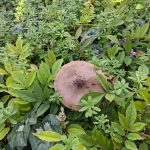 7de7167f 962a 4492 ab0b bf0cd0adb853