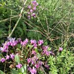 db57d812 3d11 4643 a548 6f65a92f2d25