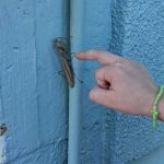 e37dab7e f58e 4306 8dc8 fc52edc707fc