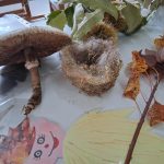 ea47ae11 531d 4d7b abcb e2dd8127fffe