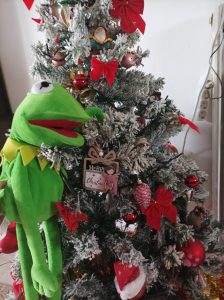 IMG 553a29e39c234bc94e47985fddf8015d V