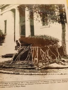 IMG 116a3dc1f8756a6244b6e0534c8f48ad V