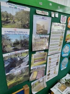 IMG 4c628b8876bf257e248f27f81f51004c V