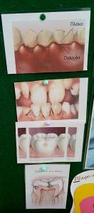 IMG 50bcecad8667f8e0a1dc2ed20d032cf7 V