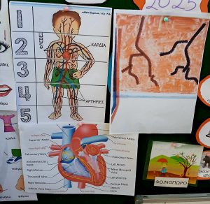 IMG 6fd4c38480ccfe732b08d7d1d0e64a0d V