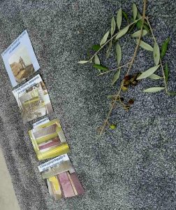 IMG 8b5cd2d08ae359d7af26c60f51a8be93 V