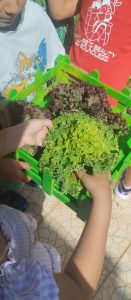 Messenger creation 6E372A5B 0F5F 4E8A B6DD BFE7CBFBFF05