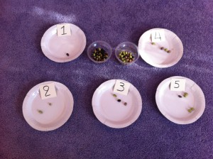 Τοποθετώ τις ελιές στο πιάτο ανάλογα με τον αριθμό....