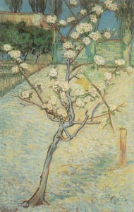  "Almond Tree in Blossom"  - Vincent Van Gogh 