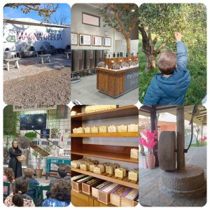 IMG 4dc559e0752a0c5c89df2a9d7d77cdf8 V