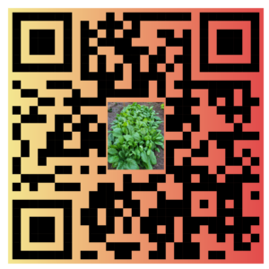 Spinach QR code