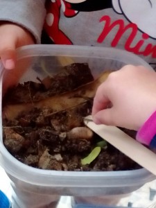 image-0-02-05-fbcfd175b0d46463f9da06d66bb36a2c4183794c78bc1a4465fd0e3b2ba7741b-V