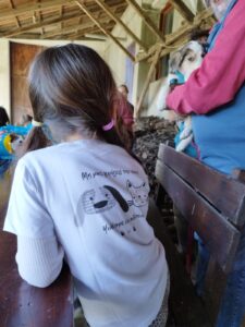 IMG 043b55b51cead658ebda124308f1ee34 V