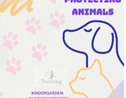 Etwinning- Protecting Animals: Χριστουγεννιάτικες κάρτες