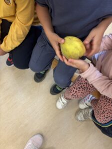 IMG 4951