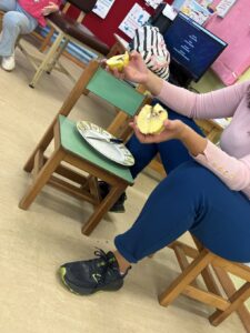 IMG 4952