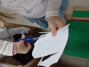 IMG 20241115 090438