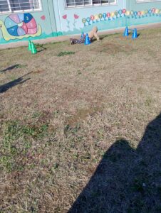 IMG 20241118 145612 HDR