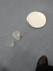 IMG 20241122 124451