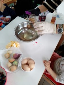 IMG 20250407 124236