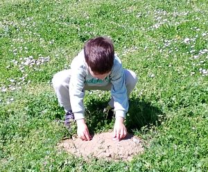 IMG 20250411 1152502