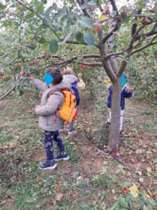 0 04 05 6256a9e2fb4e34a46165f2d26675d3bcb59e85e0822c389cbf35c6d2305f6b4b e07bd9ecc3954f07