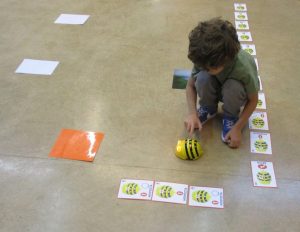 Γιώργος προγραμματίζει τη μέλισσα