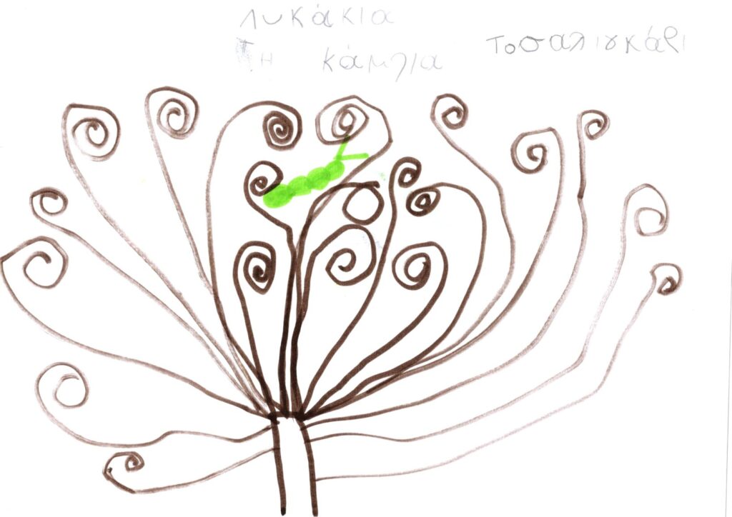 συμπερασμα 2