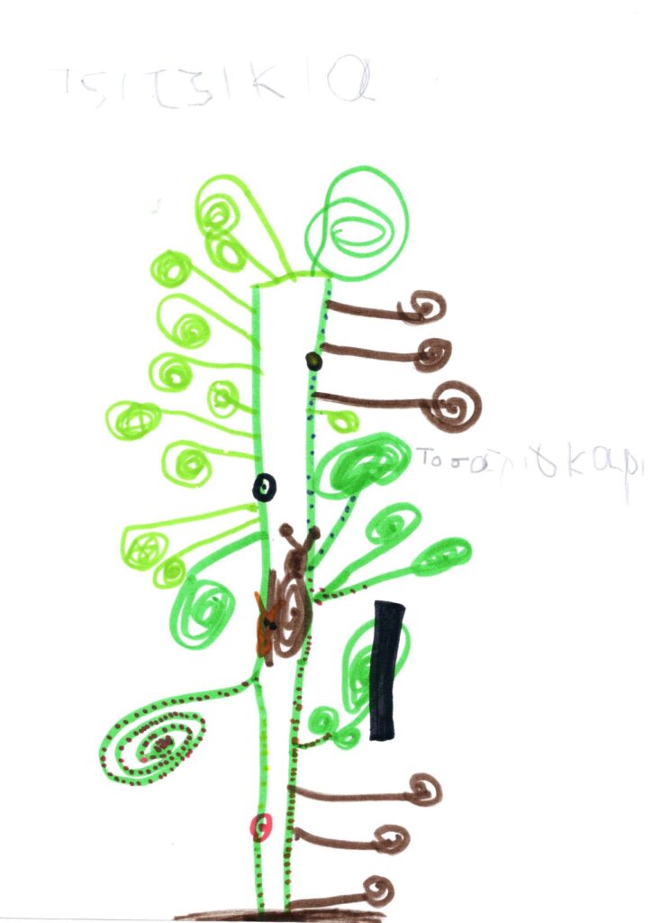 συμπερασμα4