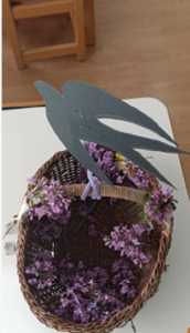 ΚΑΛΑΘΙ ΧΕΛΙΔΟΝΑΣ