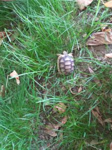 ea13815d 3b9c 430f bfcc a14b09e1d316