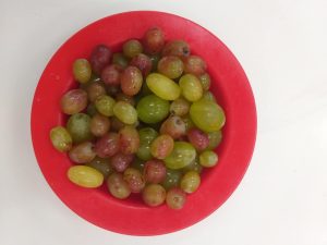 f73f9d47 7447 4c90 ba7b b30b375f5264