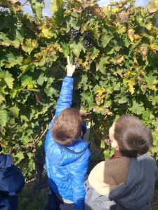 1d4337cb 6291 4643 b61c ed8e864544e6