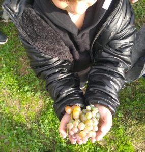 237a5892 871b 458b 8e67 0620c1732646