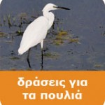 ορνιθολογική