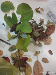 d7c625de 0410 4b1b b68a e1b6ca1cf6c9 1