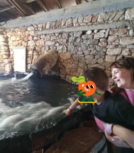 00472d60 c3c7 42c5 bb1b d3a5ee14b7d0