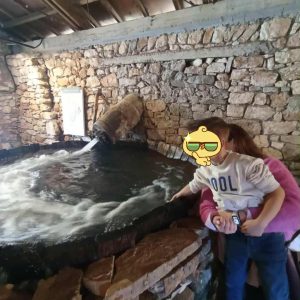 0386c593 389d 4897 8b0e 8a7d13da7140