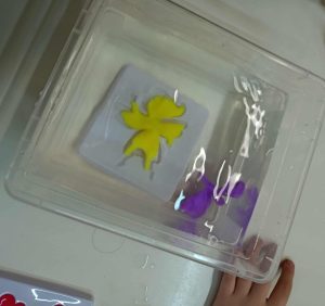 37eafd46 3a3d 433a 85c2 1ed0c446834f