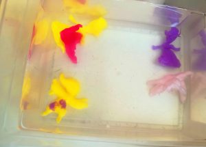 93f1a70d 6a87 4187 ae96 5078f55ab327