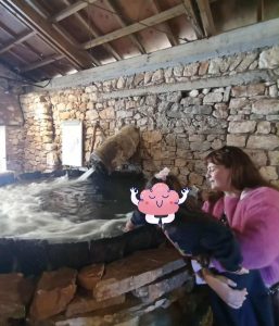 a1edbc0a cc67 4bbd 83b9 44a02c8035de