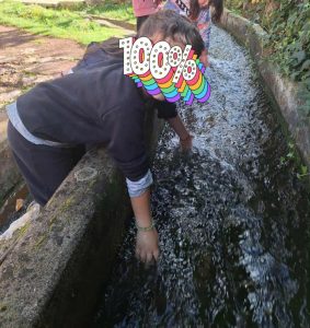 bc36d495 d312 4232 9ab5 fcf80f6a8cc5