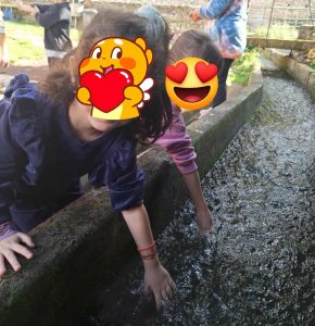 cfc0f11e 893f 4fe7 90ff 4a069d29dbb9